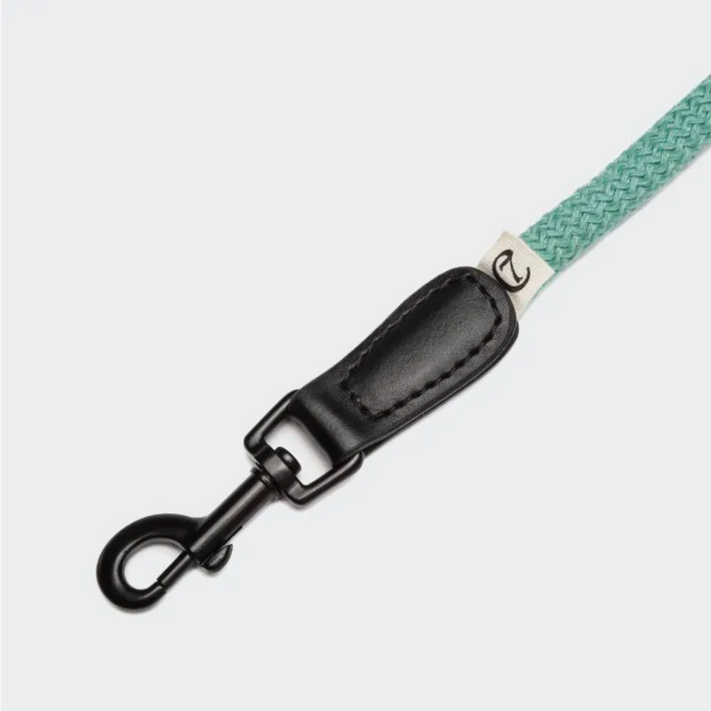 Cloud7: Dog Leash Mauerpark Aqua