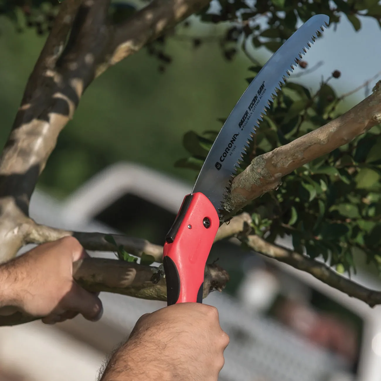 Corona Max RazorTOOTH 25.5cm Folding Pruning Saw