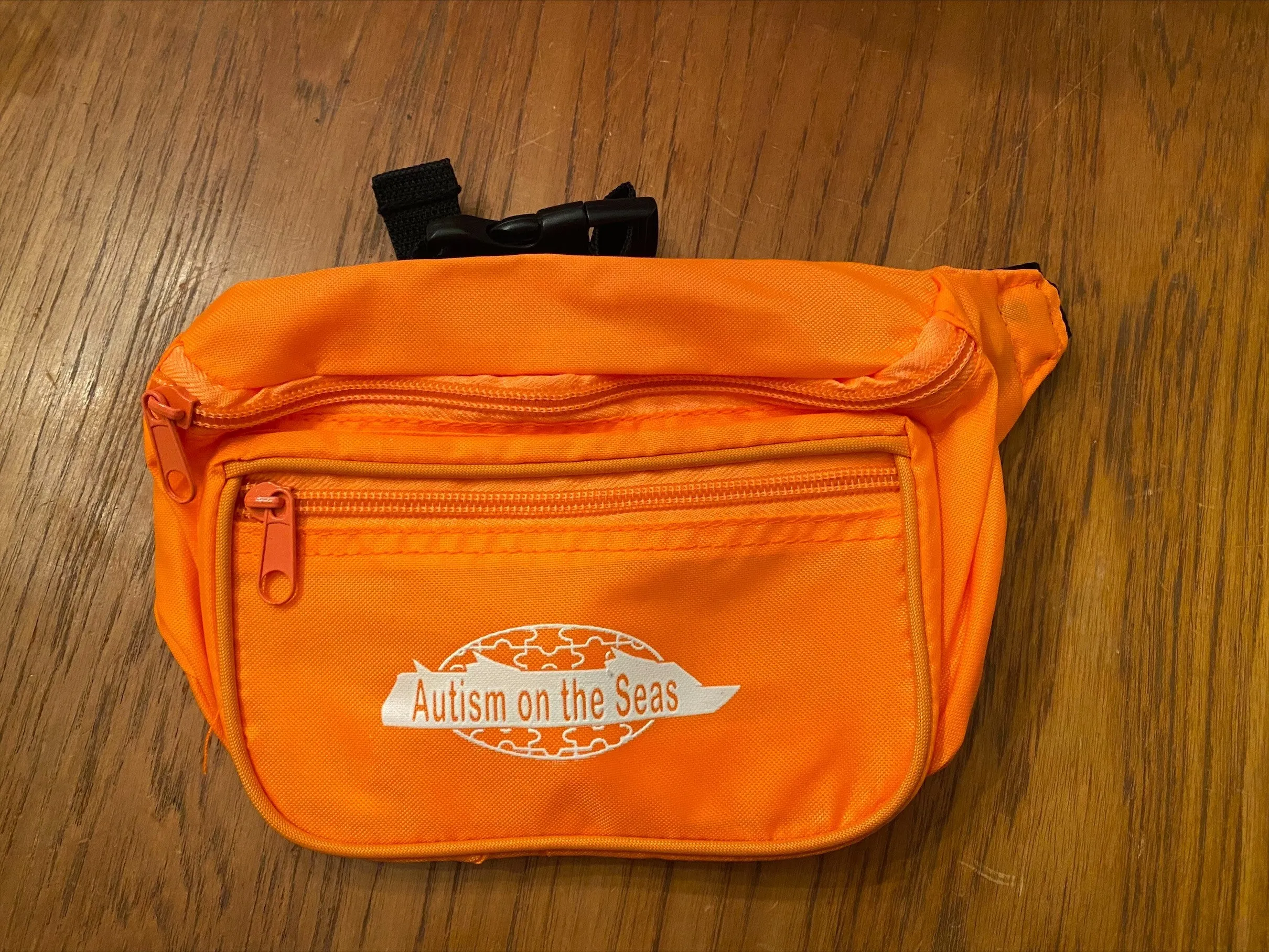 Fanny Pack with AotS Logo