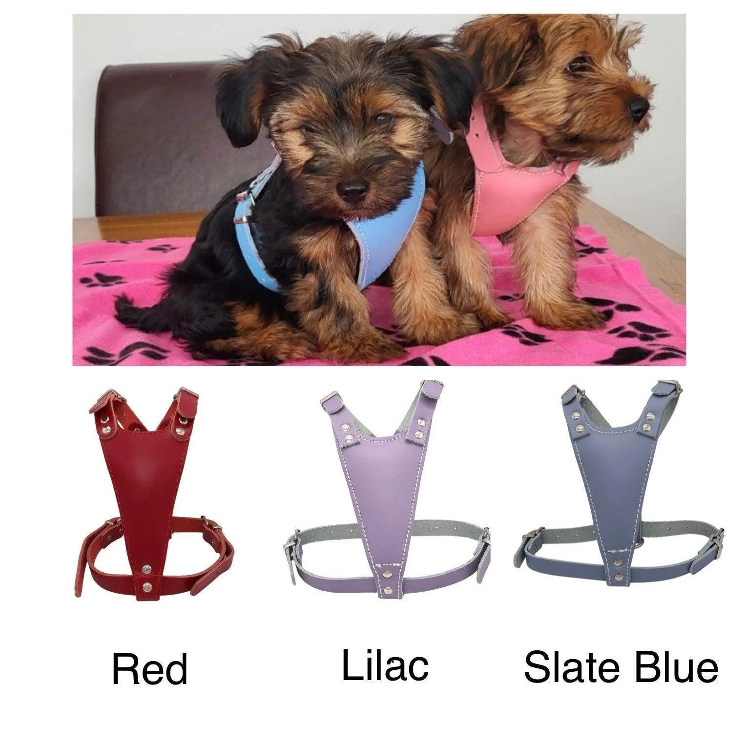 Premium Adjustable Leather Puppy Harness for Small Dogs - Handcrafted