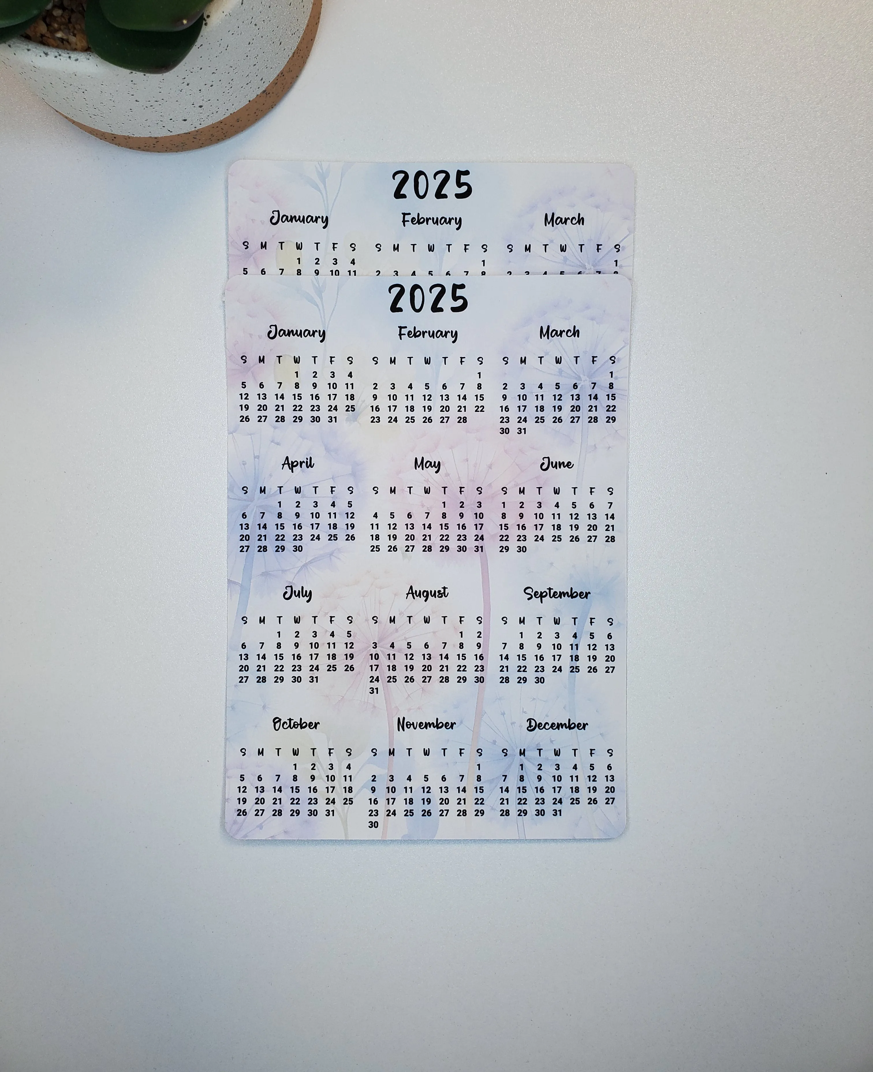 Year At A Glance Calendar Sticker Dandelion Design